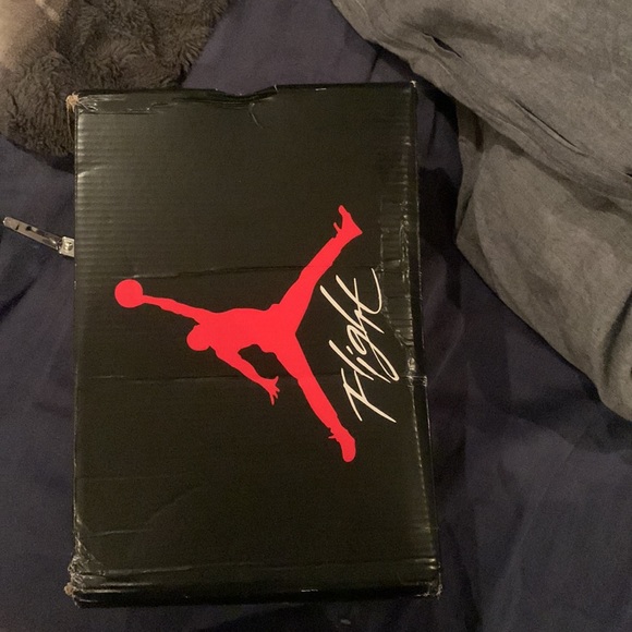 Jordan 4 Raptor - Picture 7 of 8